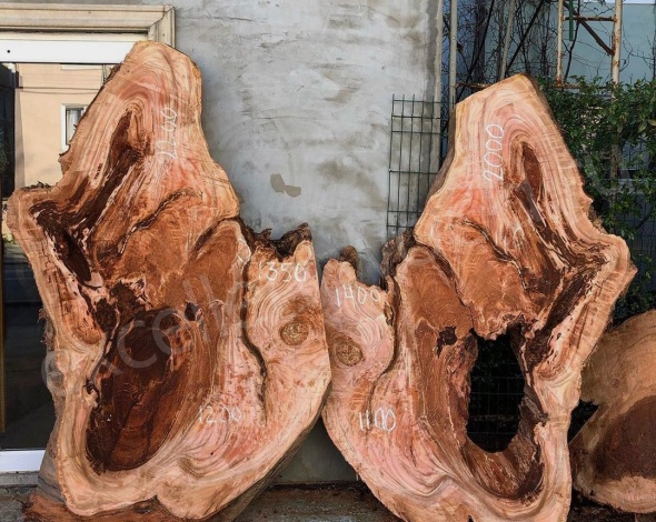 Экзотическая древесина Каштан 2200 купить в интернет-магазине